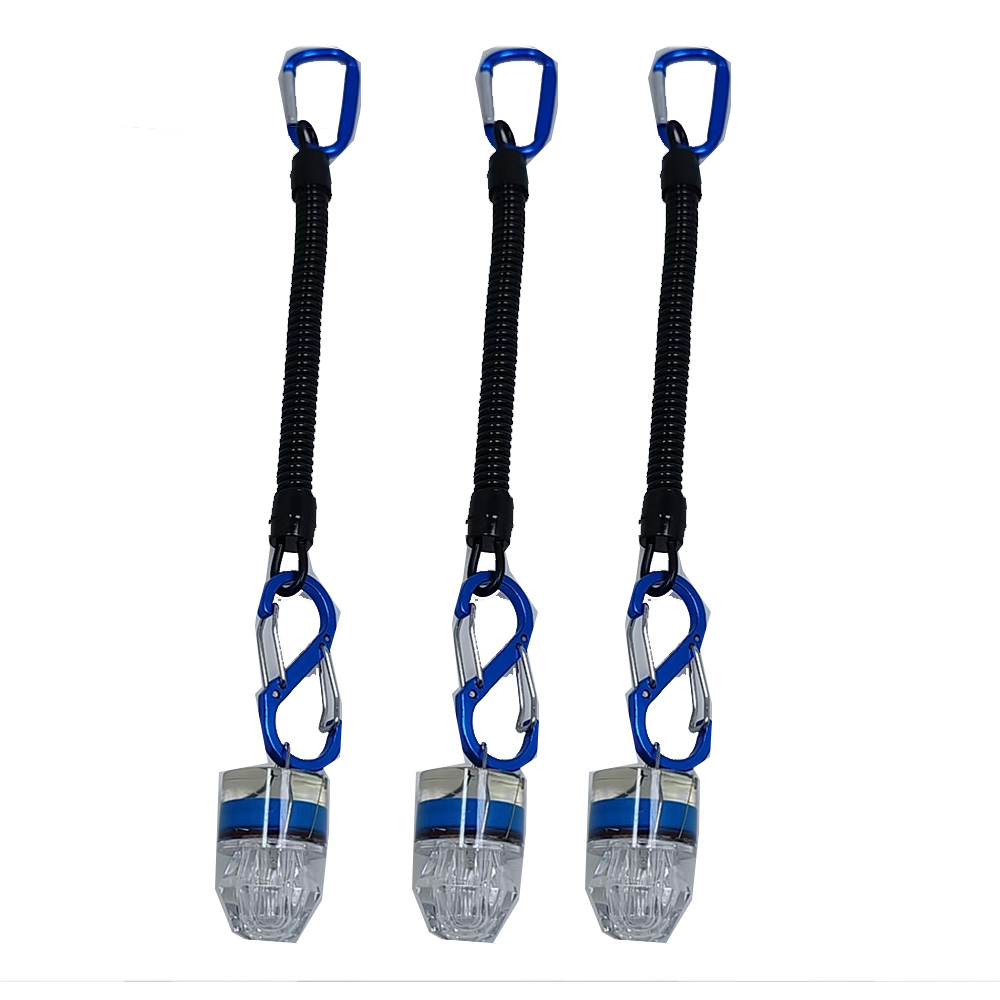 2-3PCS LED 낚시 조명등 (로프 포함) 수중 딥 - Fish Alarm 리뷰 및 가격