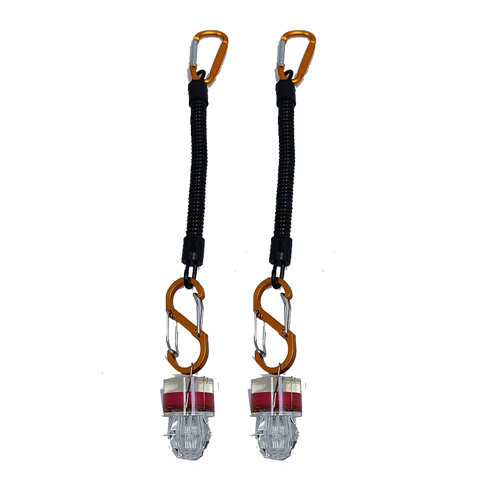 2-3PCS LED 낚시 조명등 (로프 포함) 수중 딥 - Fish Alarm 리뷰 및 가격